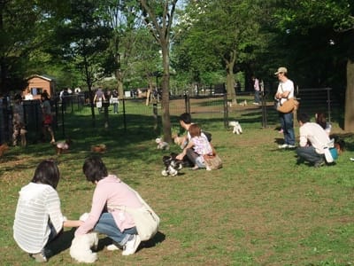 東京 昭和記念公園ドッグラン情報 アクセスや登録方法 利用上のルール 注意点 など Woo Wan Com