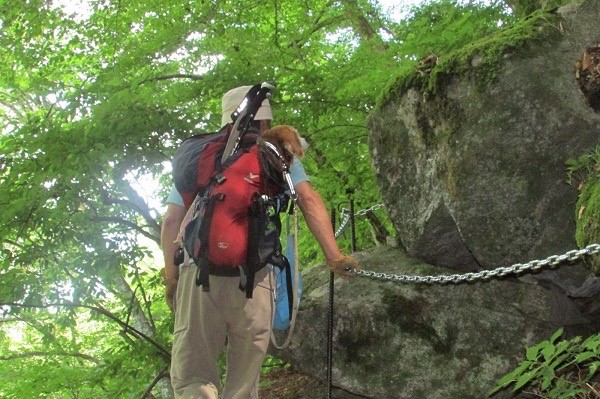 尾白川渓谷ハイキングコースの鎖場を登る犬と人
