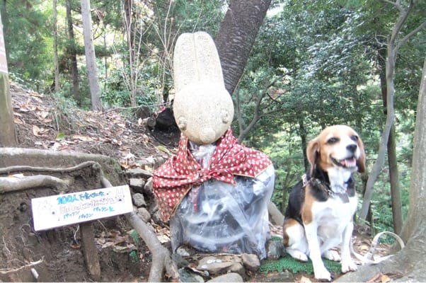 登山道に設置された石像に並ぶミックス犬