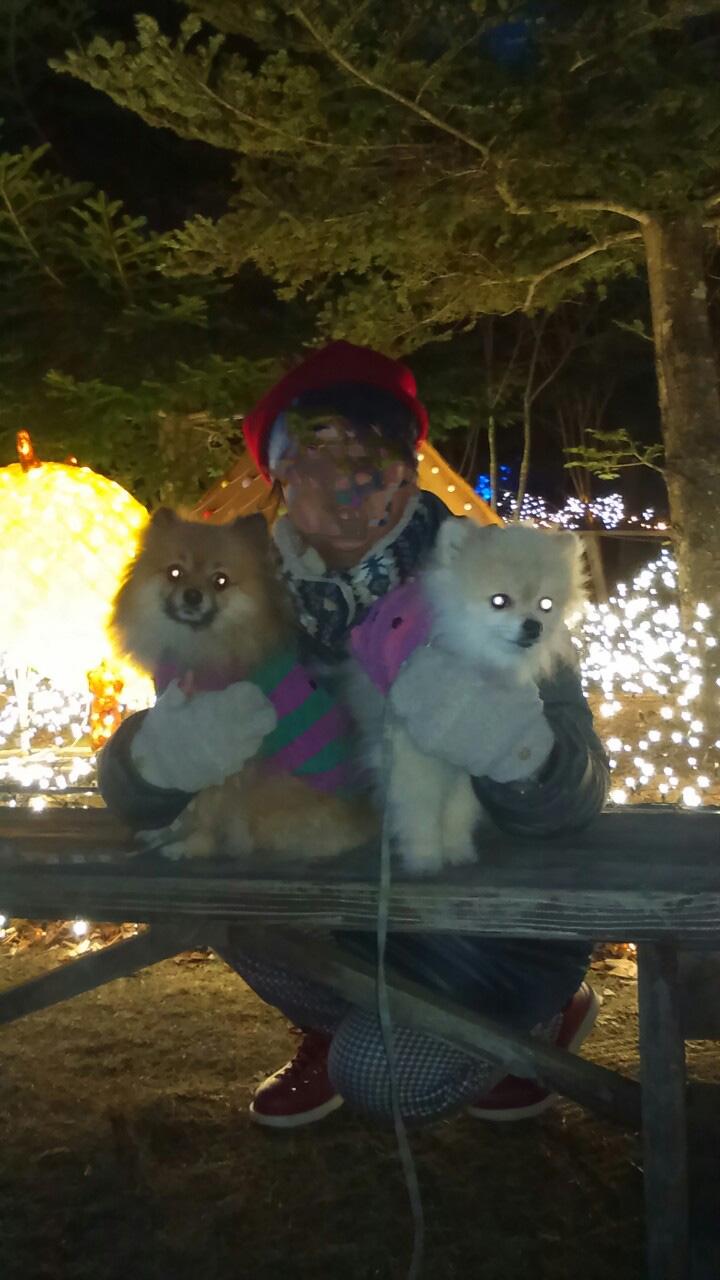 京都イルミエールにて おそろいの服を着た愛犬