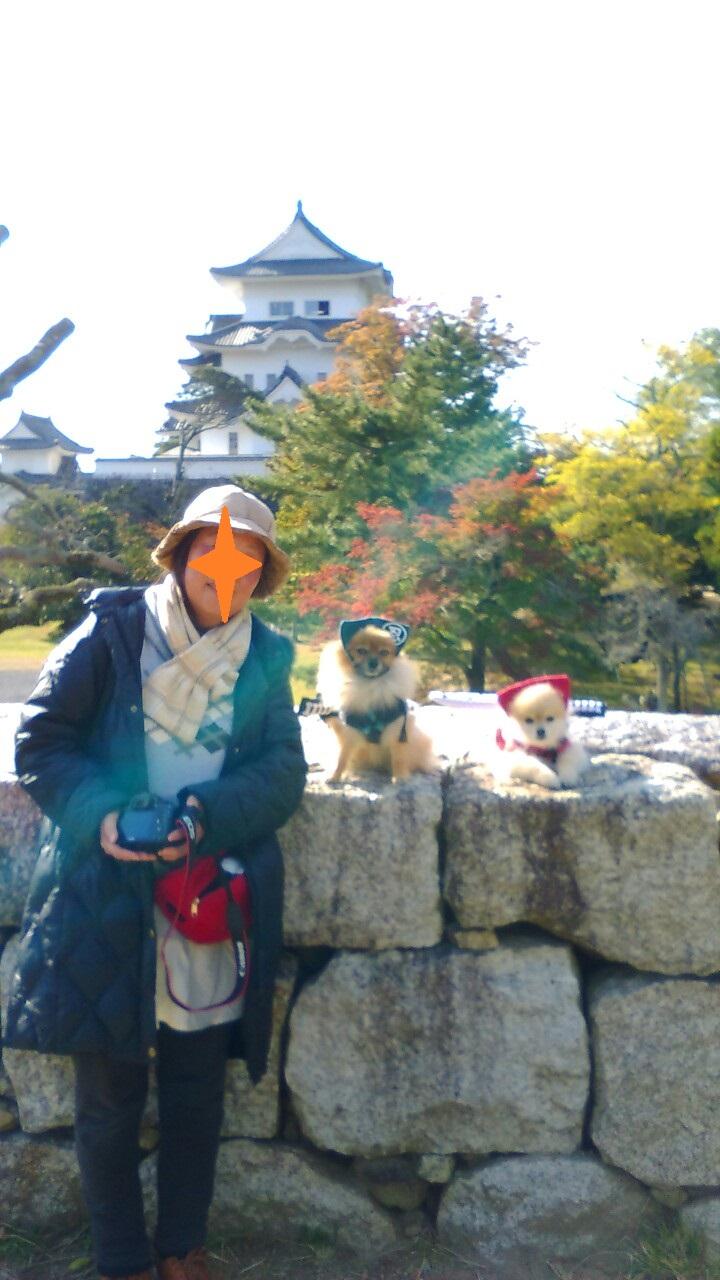 伊賀上野城の天守閣と愛犬