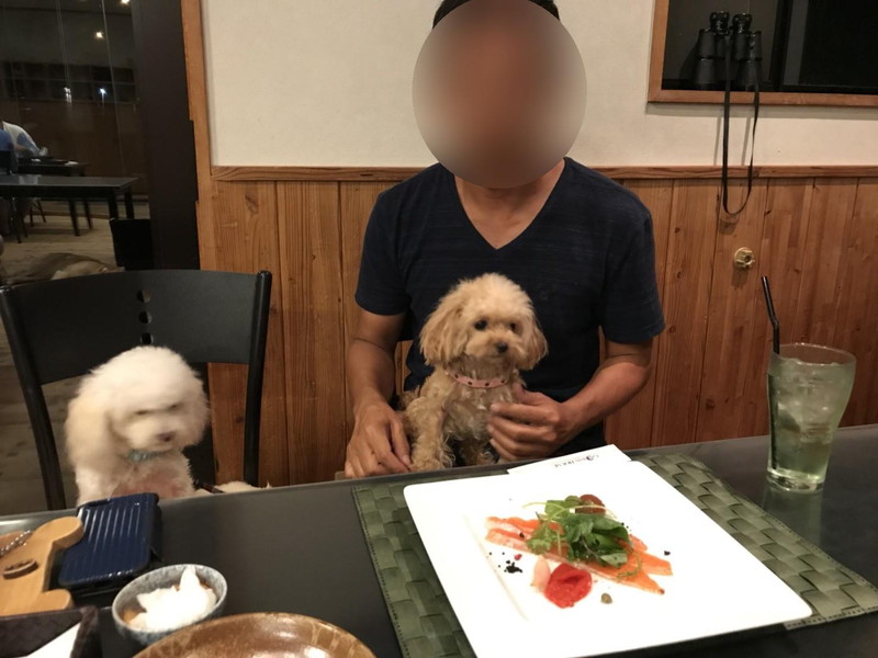 愛犬とグラスハウスの夕食料理