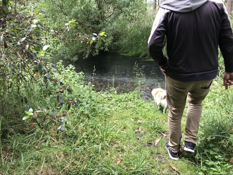 保護区内を流れる川の水を飲んでリフレッシュする愛犬トリクシー。見守る、マーク